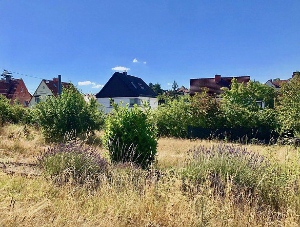 Schelkmann Immobilien- Baugrundst�ck kaufen Erfurt Schelkmann Immobilien- Baugrundst�ck kaufen Erfurt