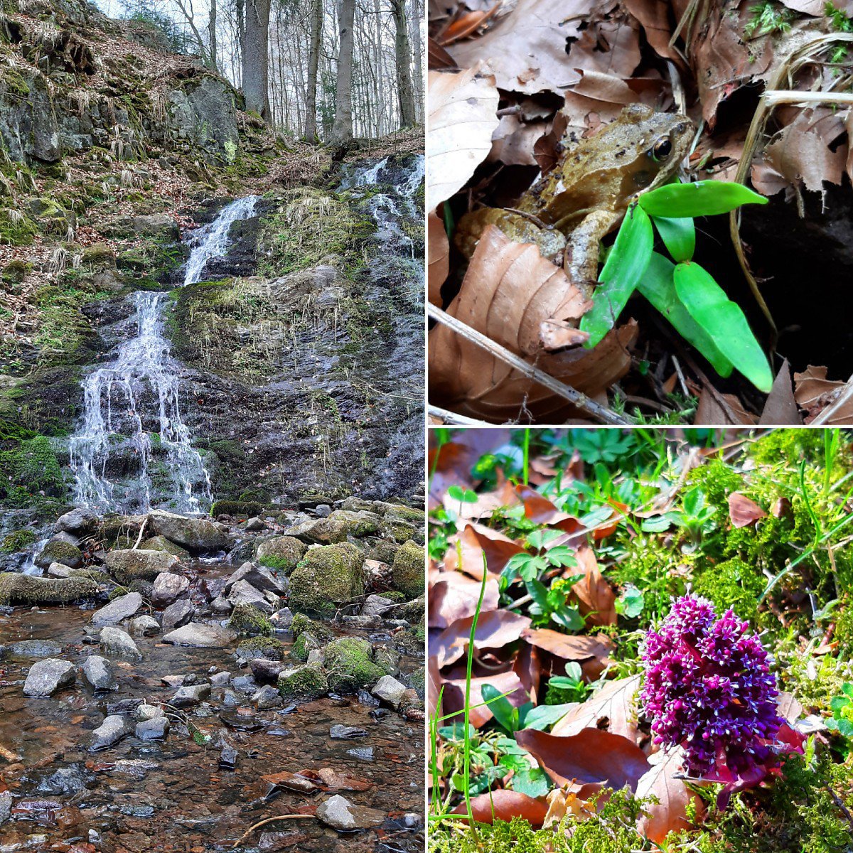 Wanderung durch den Spittergrund in Th�ringen Wanderung durch den Spittergrund in Th�ringen