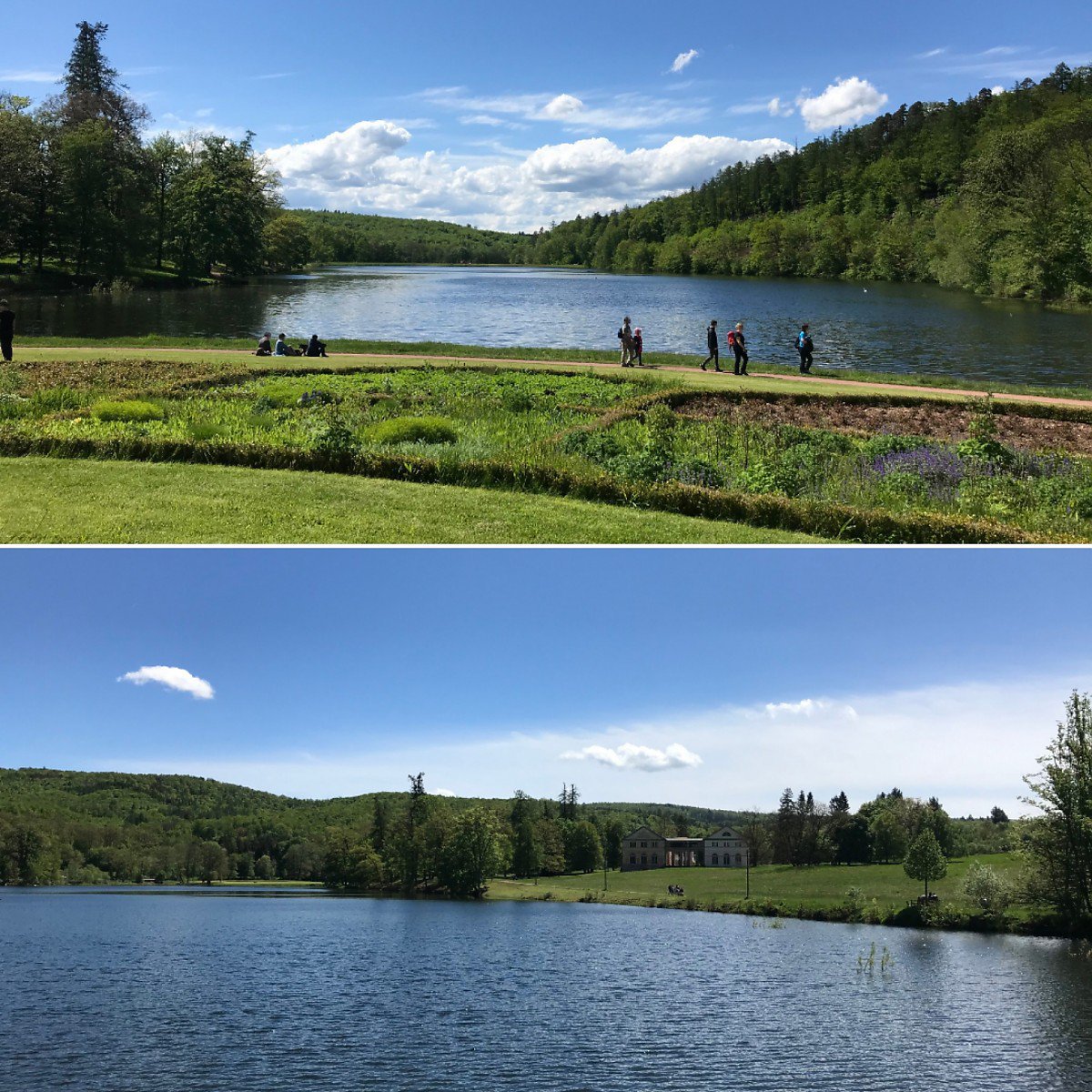 Wilhelmsthal bei Eisenach Th�ringen Schelkmann Immobilien Wilhelmsthal bei Eisenach Schelkmann Immobilien Th�ringen