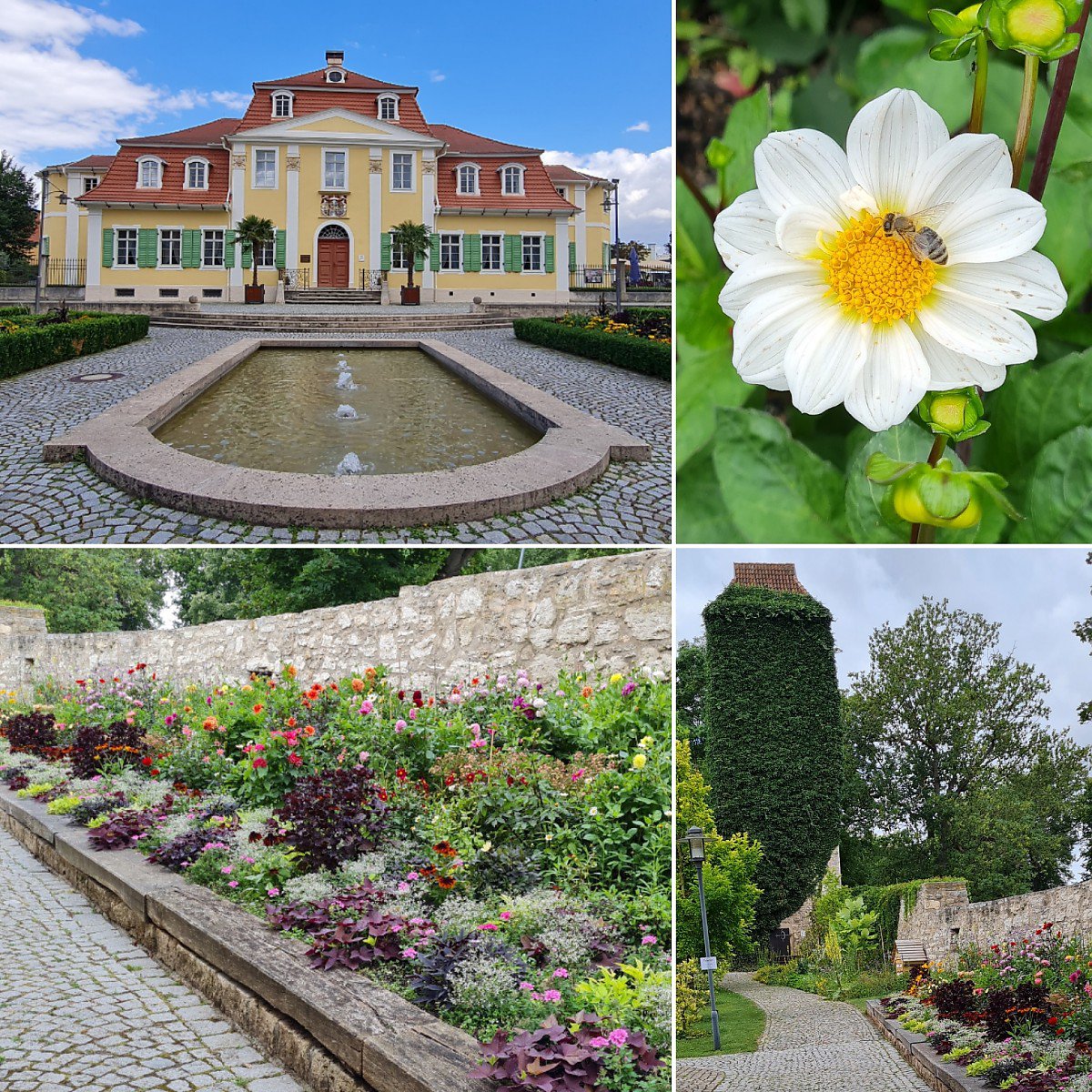 Bad Langensalza BUGA Schelkmann Immobilien Bad Langensalza BUGA Schelkmann Immobilien