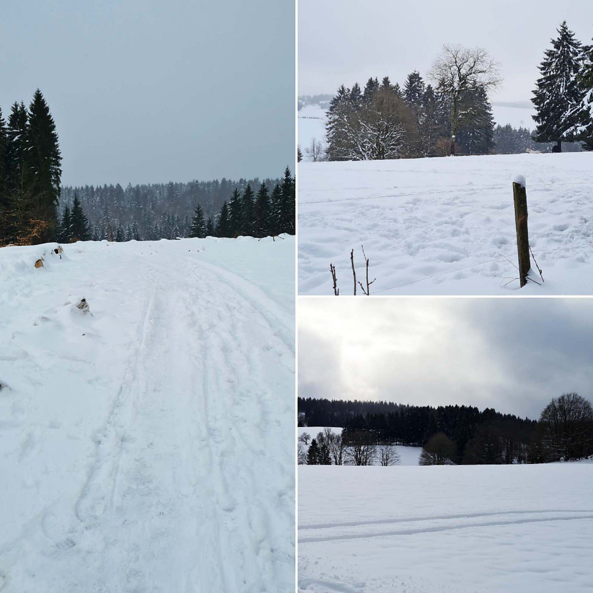 Schelkmann Immobilien Erfurt Skifahren in Frauenwald Schelkmann Immobilien Erfurt Schnee in Frauenwald