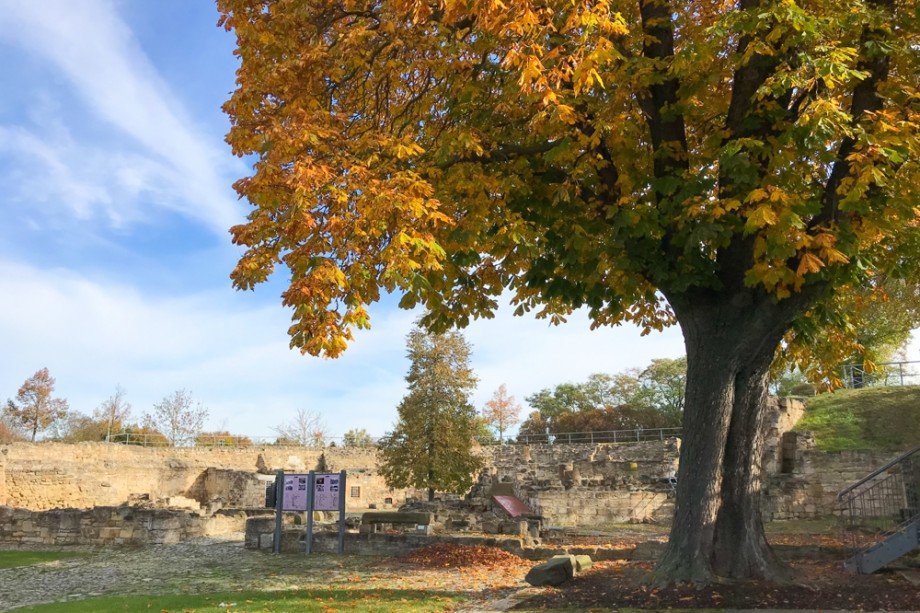 Schlossruine Herbsleben Etagenwohnung Herbsleben