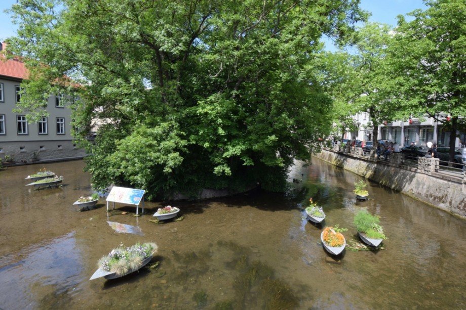 Blick von der Schl�sserbr�cke Etagenwohnung Erfurt