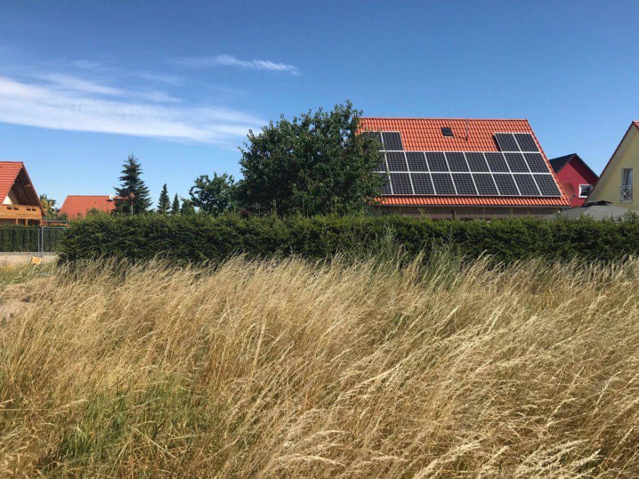 Feld hinter dem Grundst�ck Einfamilienhaus Berlstedt