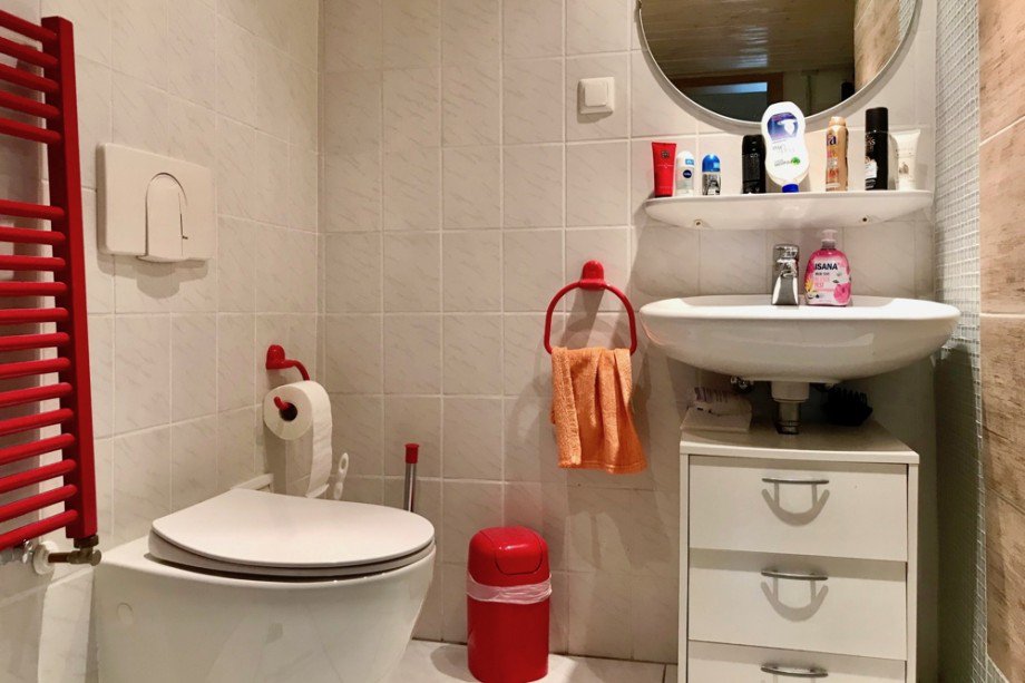 Modern ausgestattetes Duschbad Einfamilienhaus Arnstadt/ Marlishausen