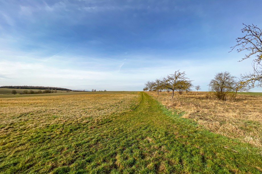 Grundst�ck Nr. 1 Wohngrundst�ck Erfurt / Molsdorf