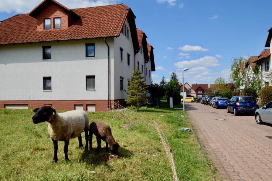 Idyllisches Wohngebiet Erdgeschosswohnung Haina